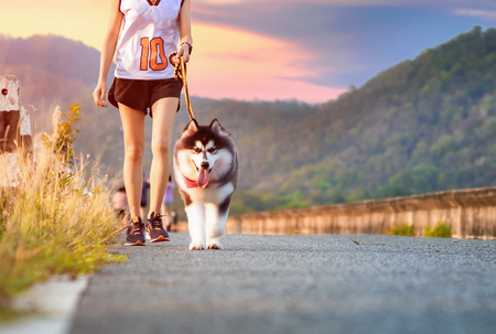 ペットの健康維持に最適な運動系おもちゃランキング