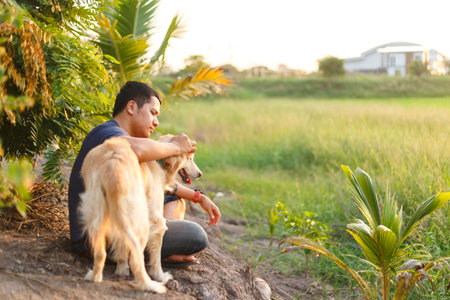 高齢犬との旅行・外出時に考慮したいポイントと準備グッズ紹介