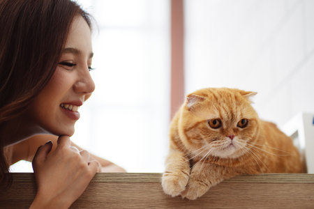 ペルシャ猫の社交性や性格、日本の気候に合う飼育法