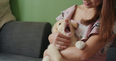 高齢者とペットの里親制度の課題と対策