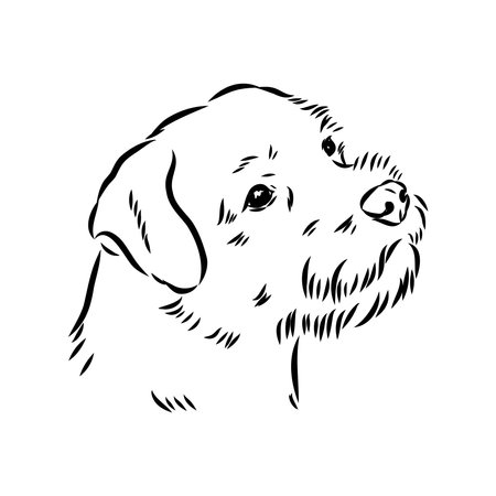 日本でよくある相談・悩み