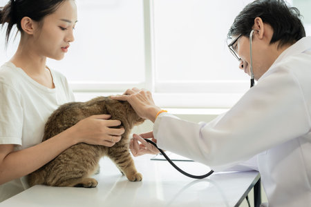 獣医師に聞く、高齢ペットの食欲不振時の対応と予防策