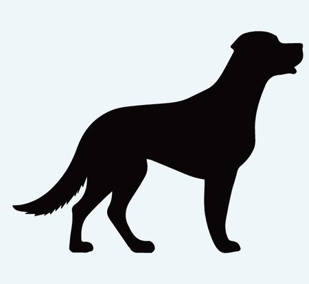 愛犬に合ったハーネスの選び方