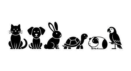 定期健診で分かること：見逃しがちなサイン