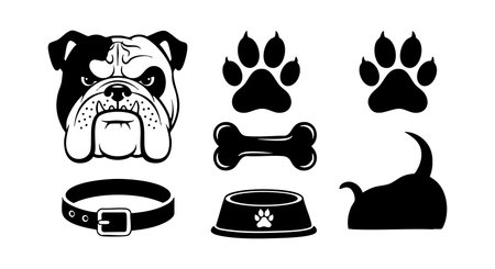 日本の住環境との相性とは