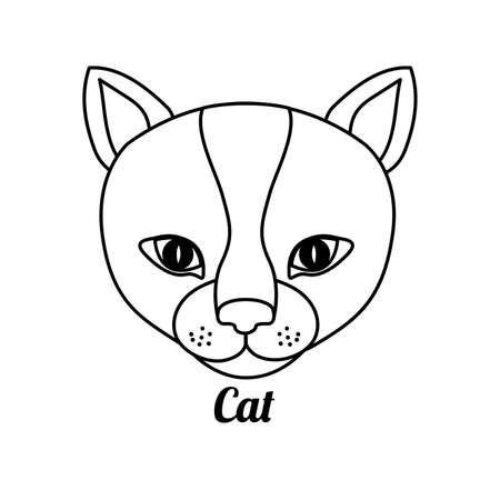 猫同士の関係性とストレス管理