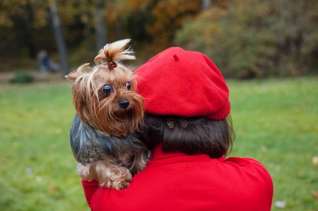 マイクロチップと迷子ペットの発見事例集
