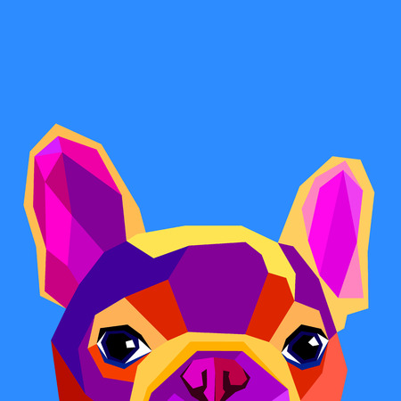 防音ケージでよく使われる素材と構造