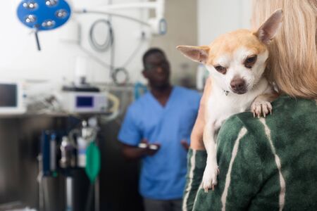 飼い主の体験談から学ぶ！本当におすすめできる動物病院の特徴