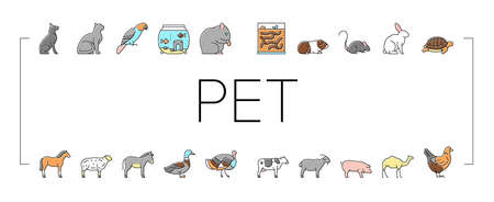 ペットに寄り添うケアとサポート