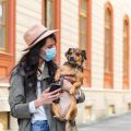 ペットとの旅で注意すべき感染症と予防策について