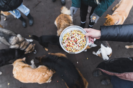 ペットの多頭飼いによるトラブルとマナー:日本での心得と実践法