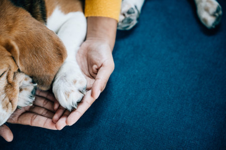 ごはんの与え方としつけの関係、正しい食卓マナー