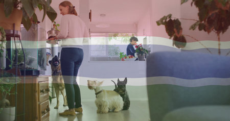 ケージ周りの生活空間・配置を工夫する